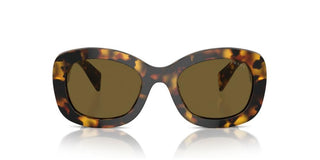 Prada PR A13S women Havana Butterfly Sunglasses