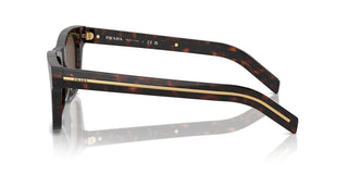 Prada Pr A17s Men Havana Squared Sunglasses