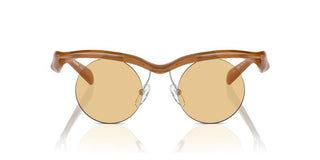 Prada Pr A24s Women Brown Round Sunglasses