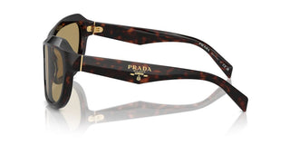 Prada Pr A27s Women Havana Butterfly Sunglasses