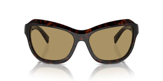 Prada Pr A27s Women Havana Butterfly Sunglasses