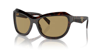 Prada Pr A27s Women Havana Butterfly Sunglasses