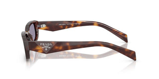 Prada Pr B06s Women Brown Rectangle Sunglasses