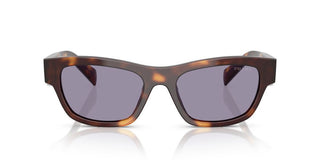 Prada Pr B09s Women Brown Butterfly Sunglasses