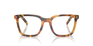 Prada PR B11V women Havana Butterfly Eyeglasses