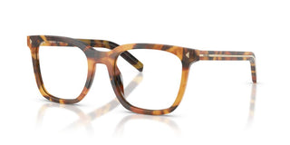 Prada PR B11V women Havana Butterfly Eyeglasses