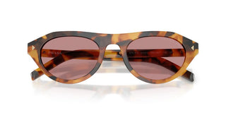 Prada Pr B15s Women Havana Squared Sunglasses