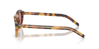 Prada Pr B15s Women Havana Squared Sunglasses