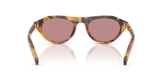 Prada Pr B15s Women Havana Squared Sunglasses