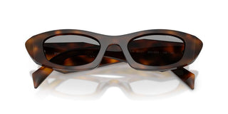 Prada Pr B16s Women Havana Cat Eye Sunglasses
