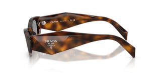 Prada Pr B16s Women Havana Cat Eye Sunglasses