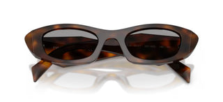 Prada Pr B16s Women Havana Cat Eye Sunglasses
