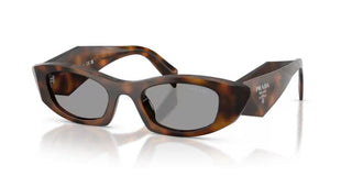 Prada Pr B16s Women Havana Cat Eye Sunglasses