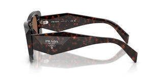 Prada Pr B18s Women Havana Squared Sunglasses