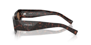 Prada Pr B19s Men Havana Squared Sunglasses
