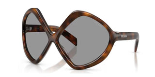 Prada PR B21S women Havana Butterfly Sunglasses