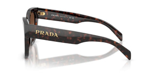 Prada PR C04S women Havana Geometric Sunglasses