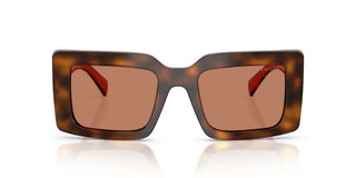 Prada PR D01S women Havana Squared Sunglasses