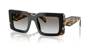 Prada PR D01S women Havana Squared Sunglasses