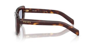 Prada PR D07S women Havana Cat Eye Sunglasses
