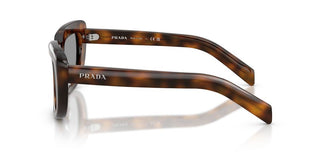 Prada PR D07S women Havana Cat Eye Sunglasses