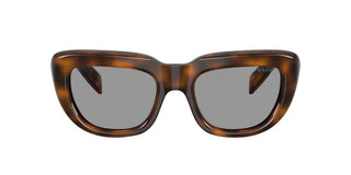 Prada PR D07S women Havana Cat Eye Sunglasses