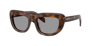 Prada PR D07S women Havana Cat Eye Sunglasses