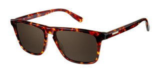 Pierre Cardin P.C. 6190/S men Havana Geometric Sunglasses