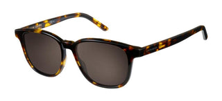 Pierre Cardin P.C. 6192/S men 0 Geometric Sunglasses