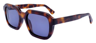 L.g.r Raffaello Men Havana Geometric Sunglasses