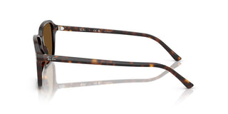 Ray-ban Raimond Rb 2231 Unisex Havana Squared Sunglasses