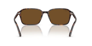 Ray-ban Raimond Rb 2231 Unisex Havana Squared Sunglasses
