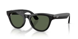 Ray-Ban RAY-BAN META RW 4014 SKYLER unisex Black Oval Sunglasses