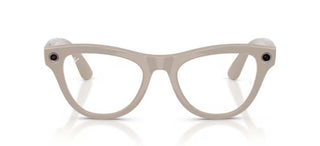 Ray-Ban RAY-BAN META RW 4014 SKYLER unisex Grey Oval Sunglasses