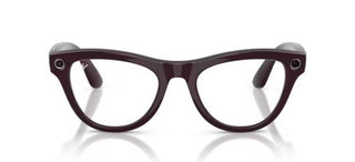 Ray-Ban RAY-BAN META RW 4014 SKYLER unisex Violet Oval Sunglasses