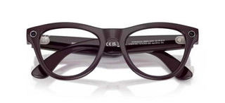 Ray-Ban RAY-BAN META RW 4014 SKYLER unisex Violet Oval Sunglasses
