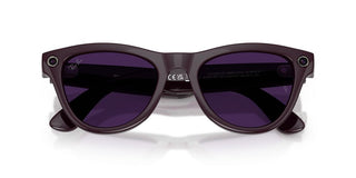 Ray-ban Ray-ban Meta Rw 4014 Skyler Unisex Violet Oval Sunglasses