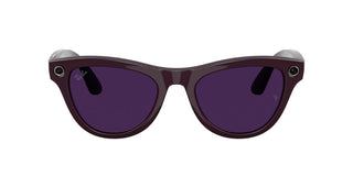 Ray-ban Ray-ban Meta Rw 4014 Skyler Unisex Violet Oval Sunglasses