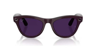 Ray-Ban RAY-BAN META RW 4014 SKYLER unisex Violet Oval Sunglasses