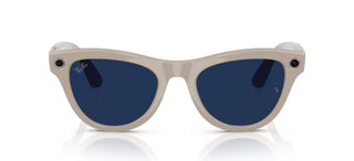 Ray-Ban RAY-BAN META SKYLER RW 4010 unisex Grey Cat Eye Sunglasses