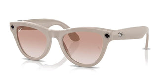 Ray-Ban RAY-BAN META SKYLER RW 4010 unisex Grey Cat Eye Sunglasses