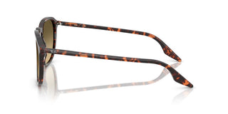 Ray-ban Rb 2203 Unisex Havana Squared Sunglasses