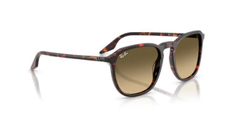 Ray-ban Rb 2203 Unisex Havana Squared Sunglasses
