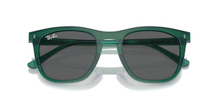 Ray-ban Rb 2210 Unisex Green Squared Sunglasses
