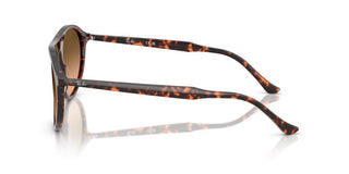 Ray-Ban RB 2215 unisex 0 Sunglasses