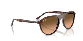 Ray-Ban RB 2215 unisex 0 Sunglasses