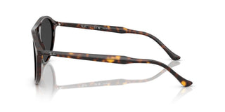 Ray-ban Rb 2215 Unisex Havana  Sunglasses