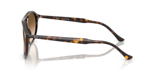 Ray-ban Rb 2215 Unisex Brown  Sunglasses