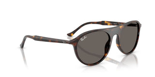 Ray-Ban RB 2215 unisex 0 Sunglasses