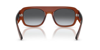 Ray-Ban RB 2218 unisex Brown Pilot Sunglasses